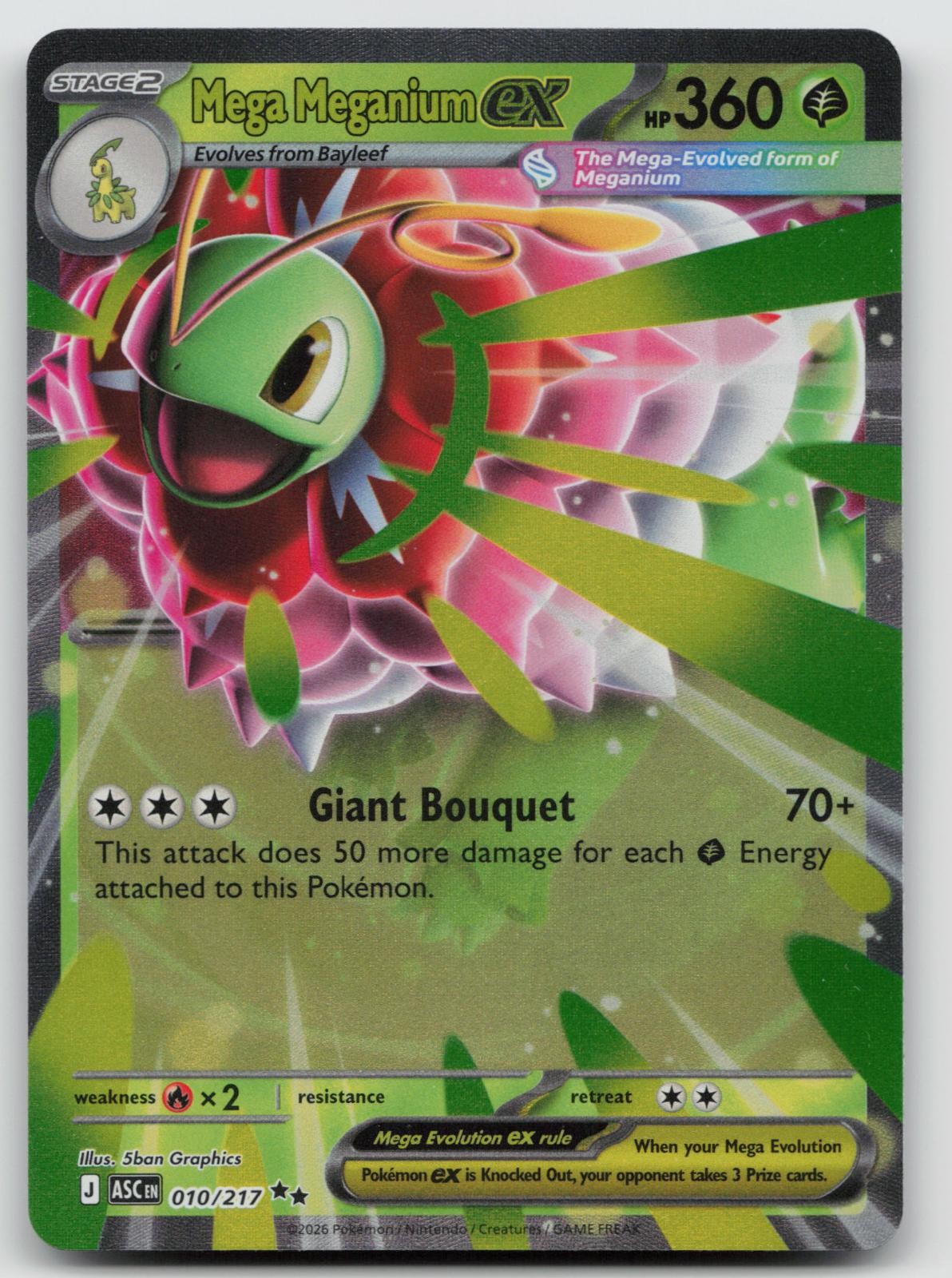 Mega Meganium ex 010/217 Holo Ascended Heroes Pokemon NM C617