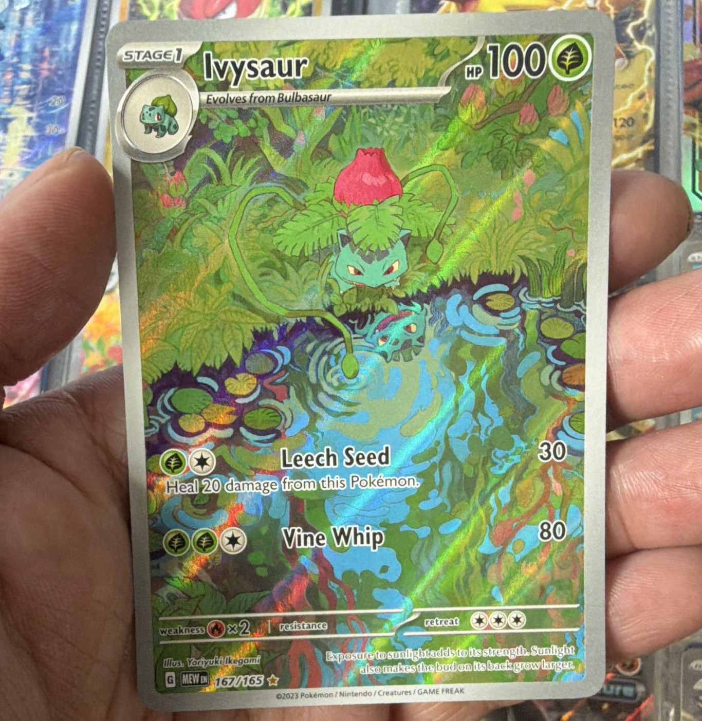 Pokemon TCG Ivysaur 167/165 SV 151 Illustration Rare Holo English 100 HP