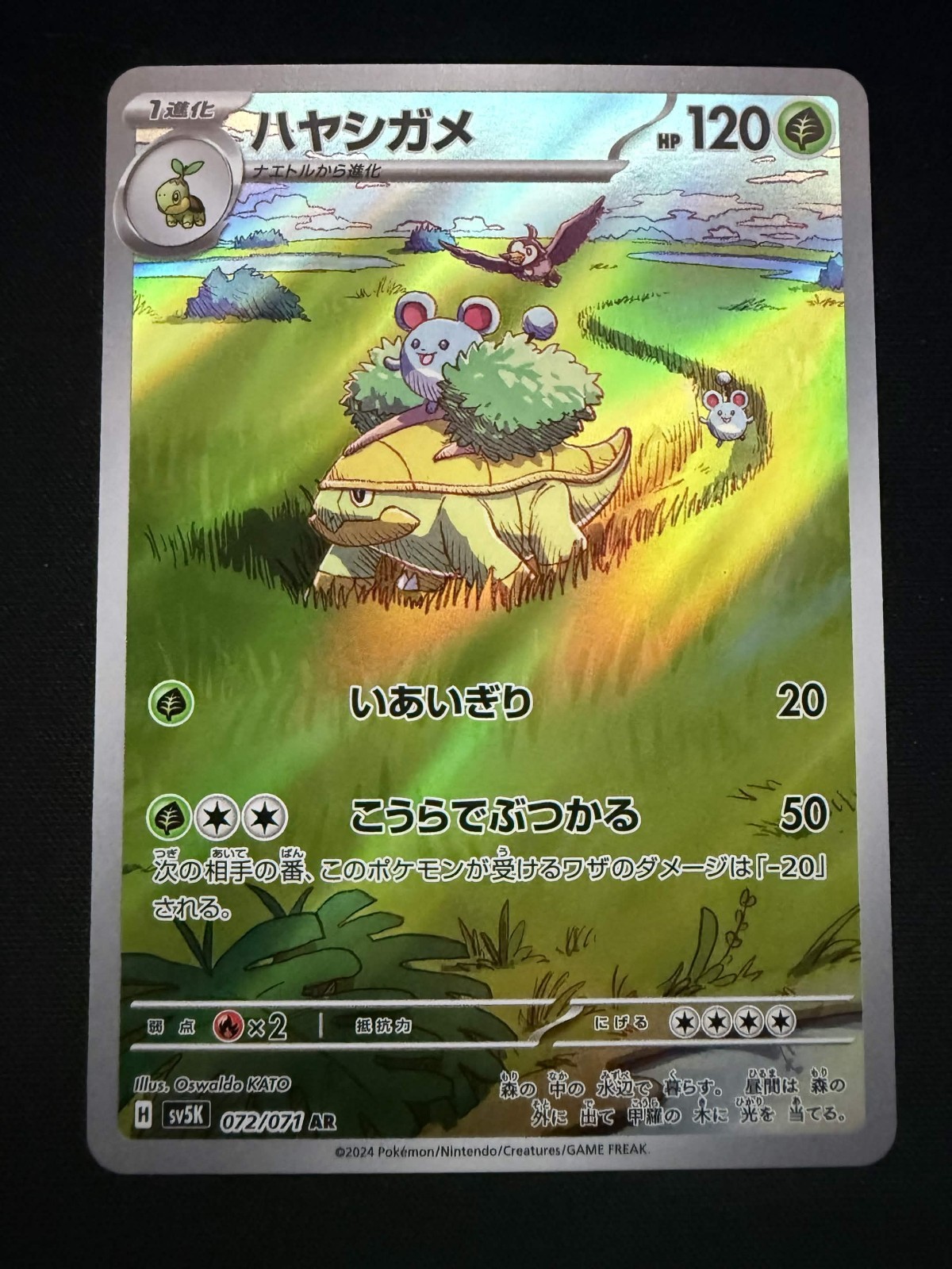 Grotle AR 072/071 Wild Force SV5K Japanese Pokemon Illustration Rare NM