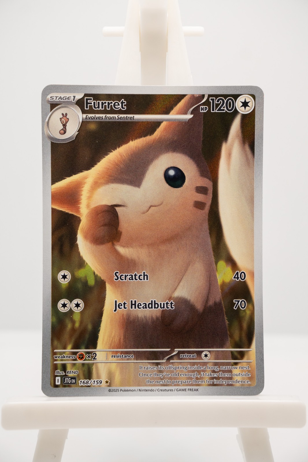 Furret 168/159 Illustration Rare Journey Together Pokemon Near Mint