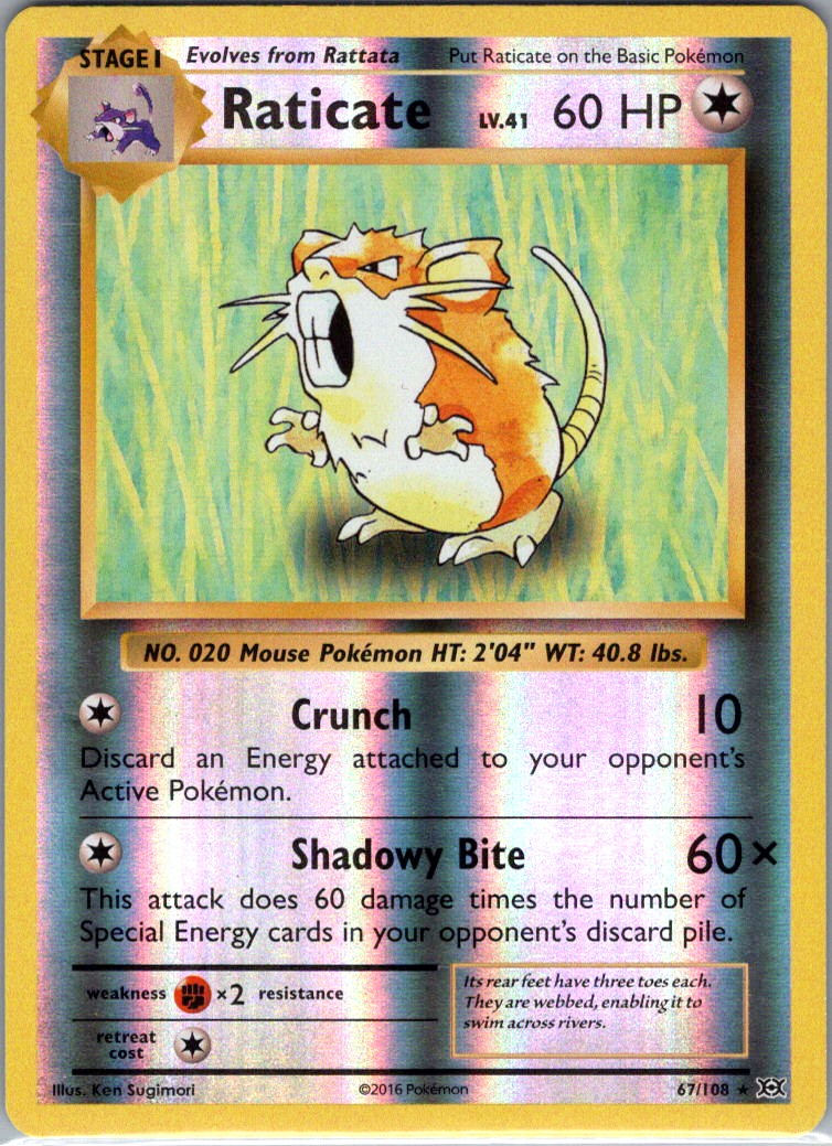 Raticate 67/108 Rare XY – Evolutions Reverse Holofoil NM