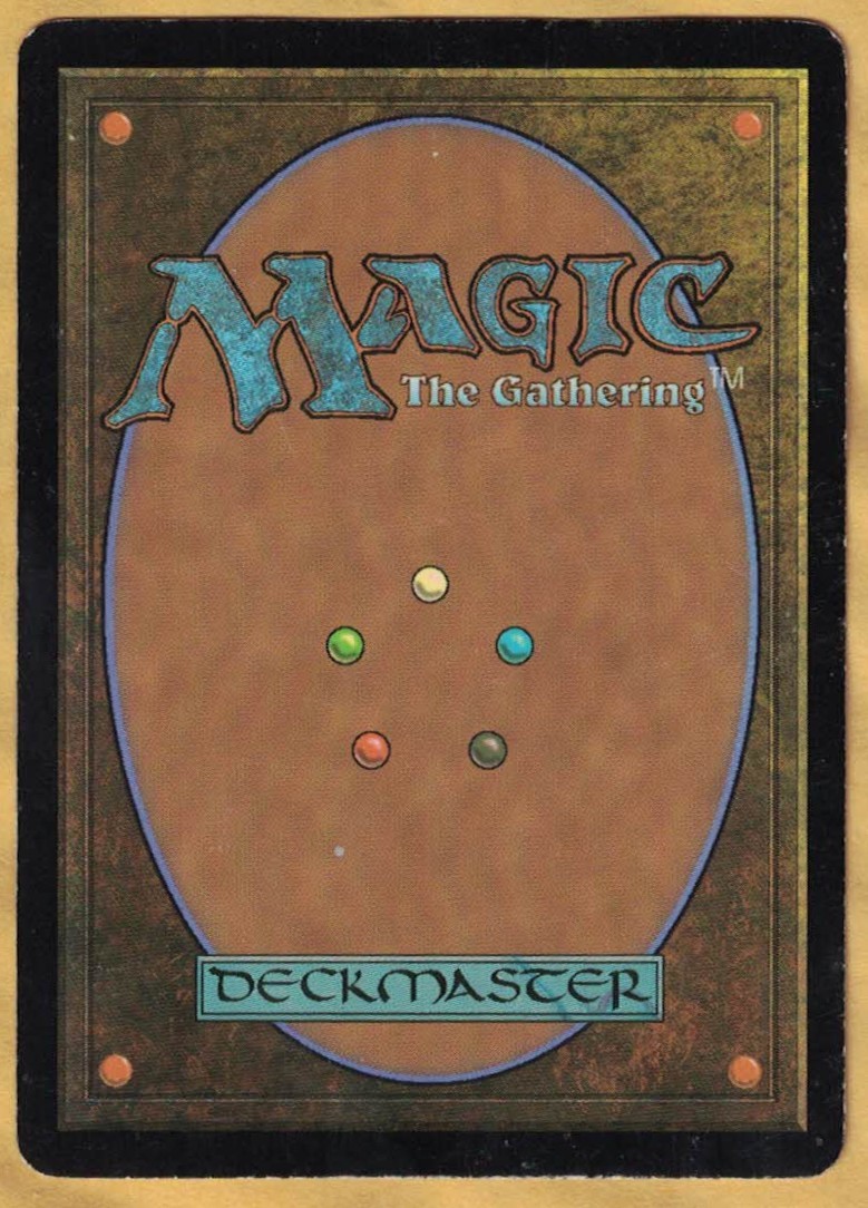 Forest (Unhinged, English, 2004) MTG MP