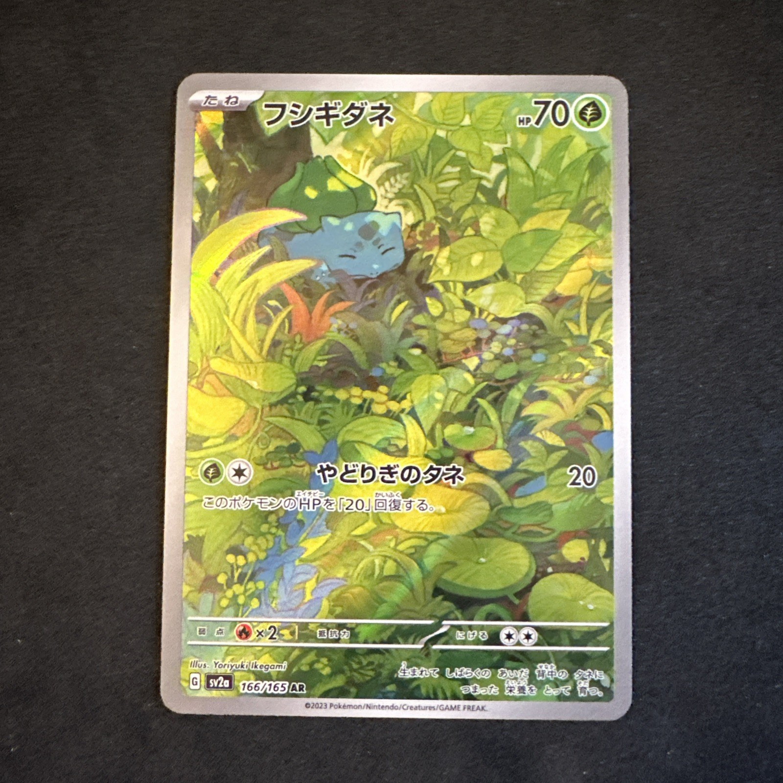 Bulbasaur – 166/165 – AR – 151 – JPN Pokémon D