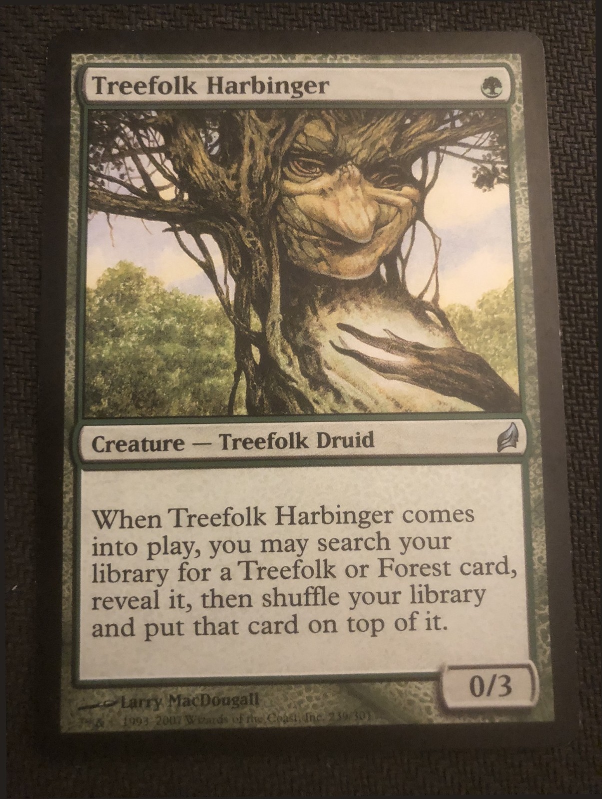 1x Treefolk Harbinger, LP, Lorwyn, MTG *FREE SHIPPING*