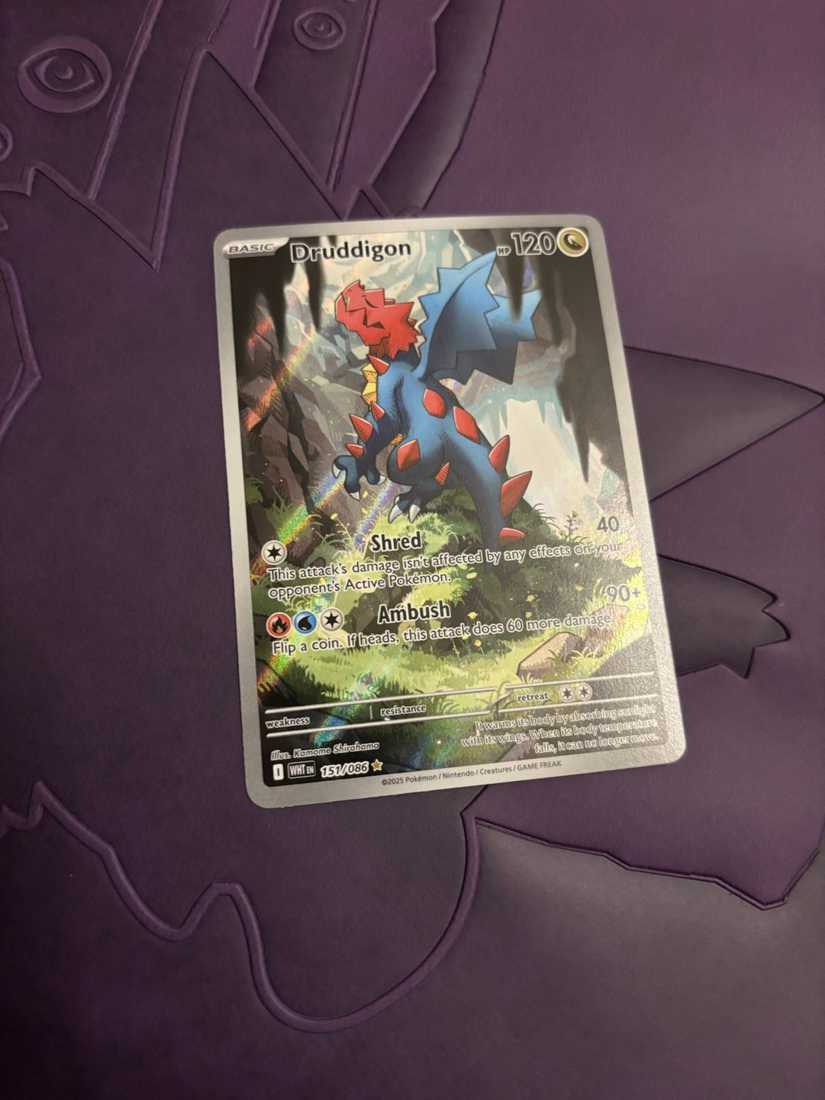 Pokémon TCG Pokémon Druddigon Holo 151/086