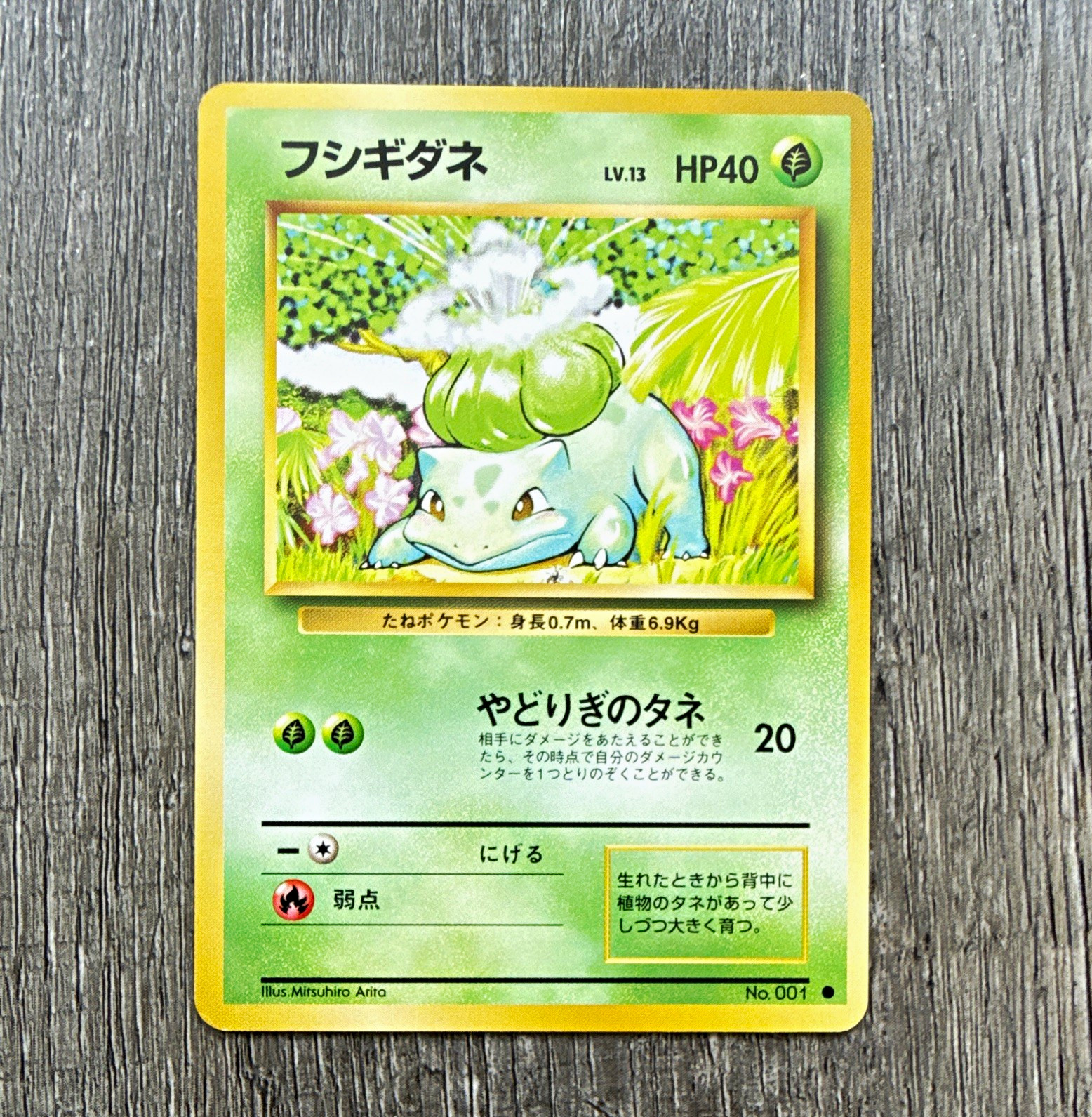 Pokémon TCG Bulbasaur 001/069 BW4 Dark Rush Unlimited Cmmn Reg Jpn 60HP Basic