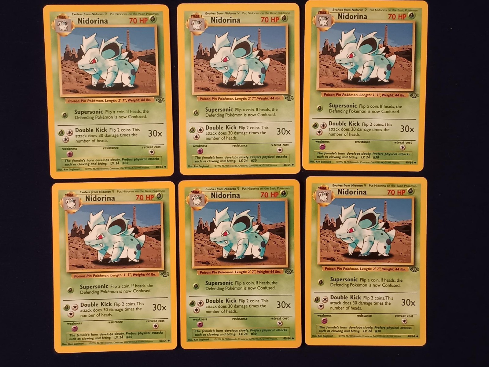 Nidorina 40/64 Jungle Regular
