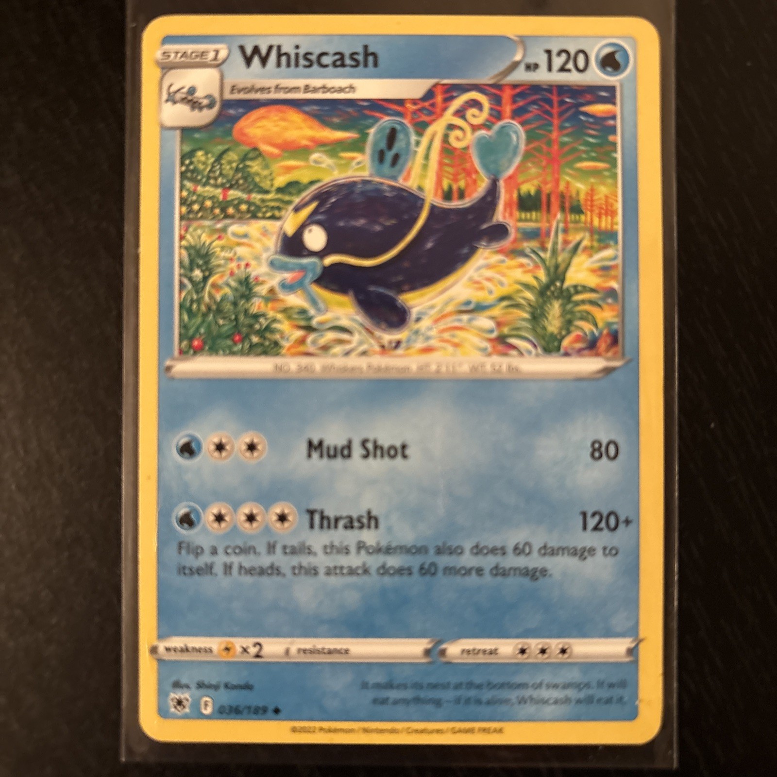 WHISCASH/ Artist Collection | Shinji Kanda | Illustrator Pokemon Cards