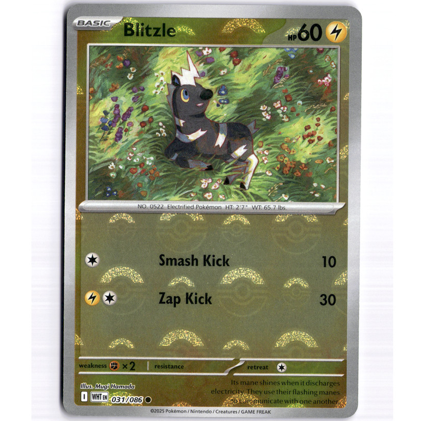 Blitzle (Poke Ball Pattern) Common Holo – 031/086 – SV: White Flare – NM