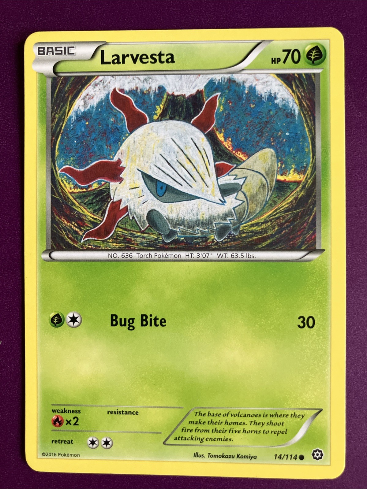 Pokemon TCG Larvesta XY Steam Siege 14/114 Common Regular English HP 70