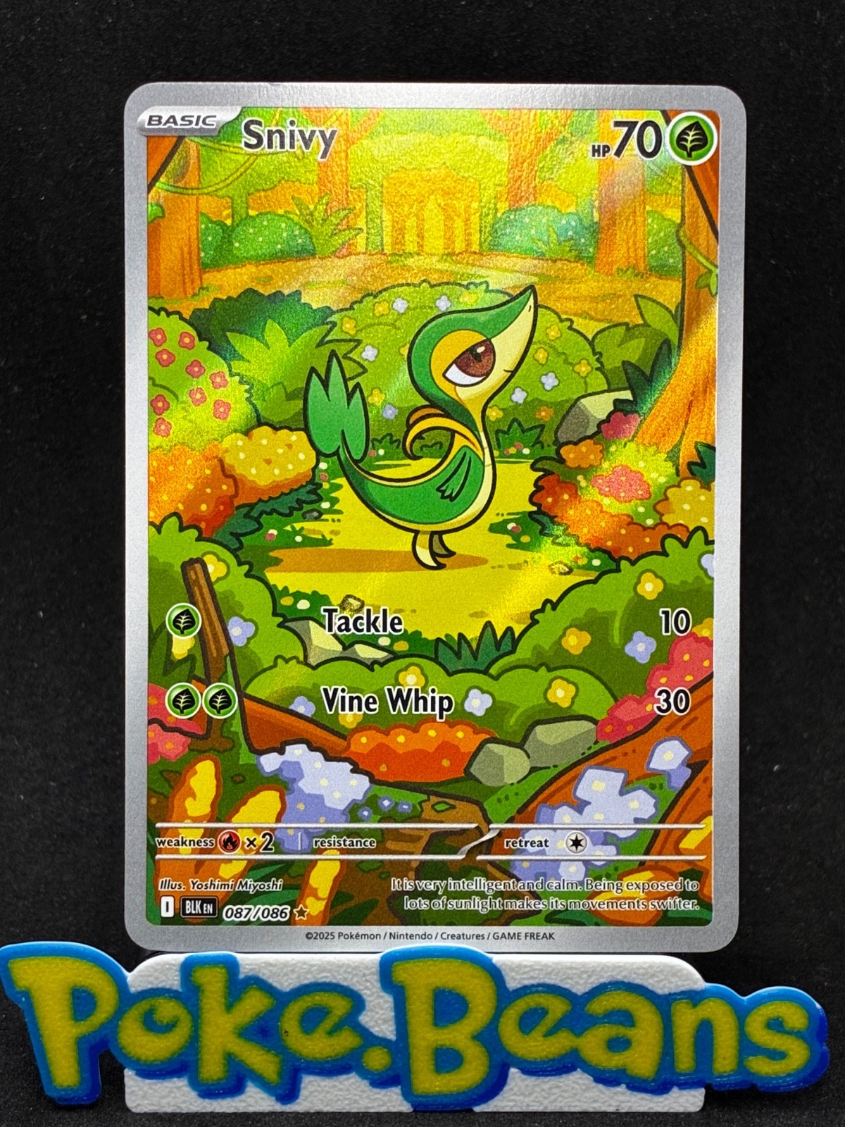 Snivy Black Bolt Illustration Rare #087/086