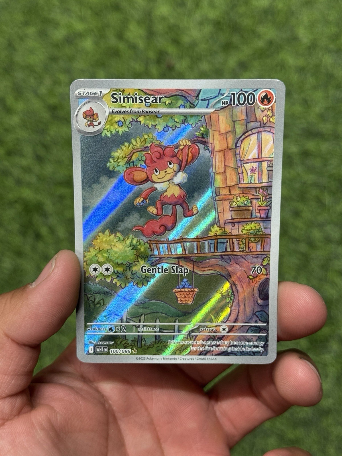 Simisear 100/086 Sv: White Flare Holo Pokemon TCG