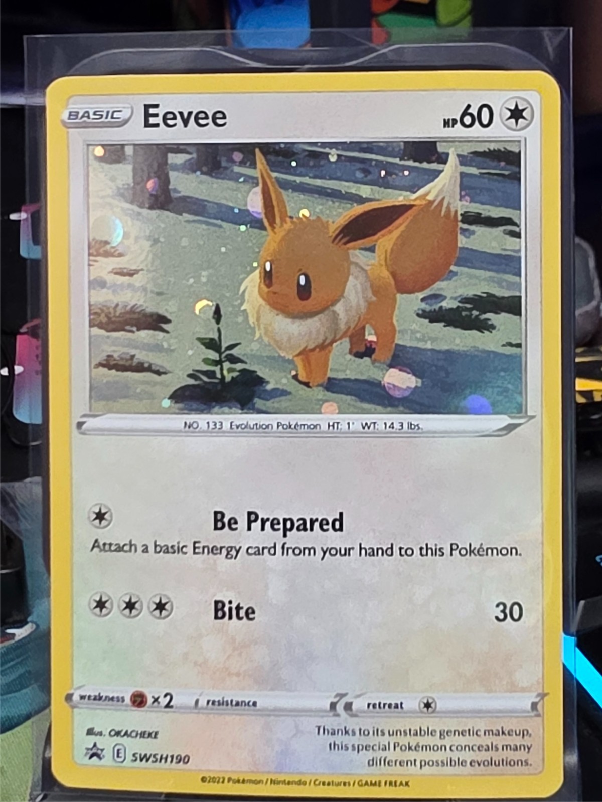 Eevee Black Star Promo SWSH 190 Pokemon Evolving Skies TCG Holo Rare🔥🚀
