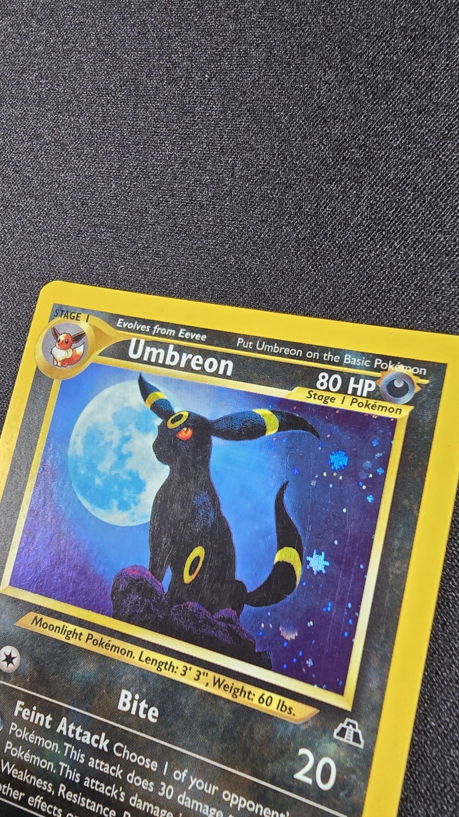 Umbreon 13/75 Neo Discovery Holo