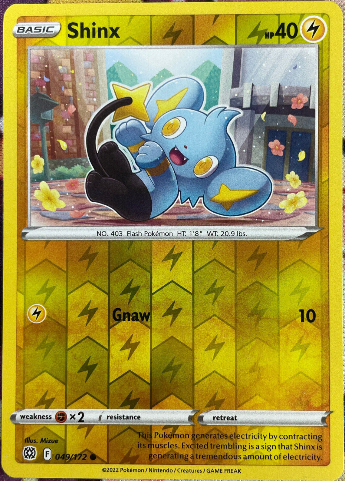 Shinx Reverse Holo – 049/172 – Brilliant Stars Pokemon 2022