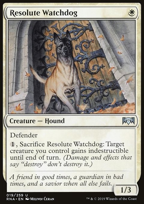 MTG Magic the Gathering Resolute Watchdog (19/296) Ravnica Allegiance LP