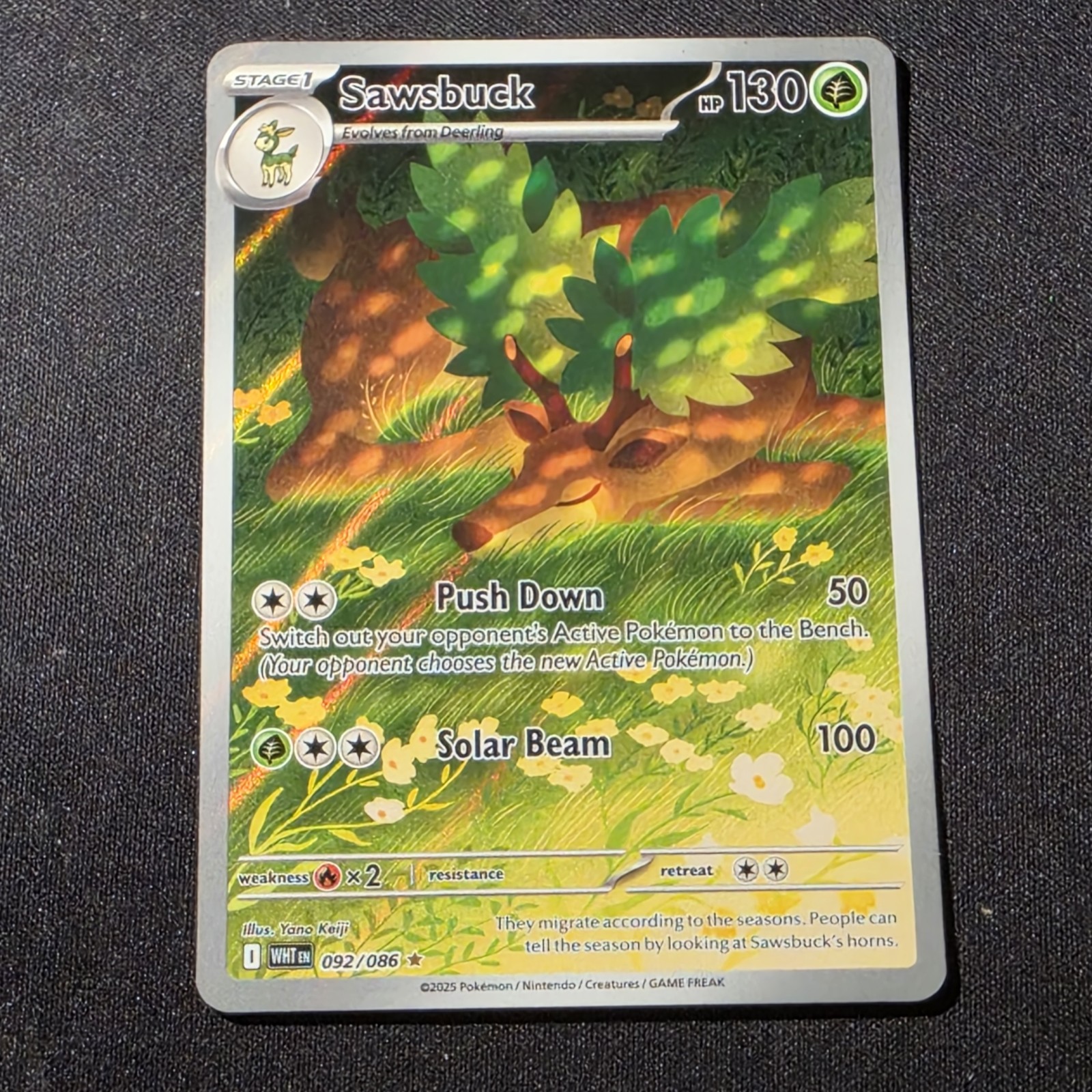 Pokemon TCG- Sawsbuck – 092/086 – SV: White Flare (WHT) Illustration Rare NM