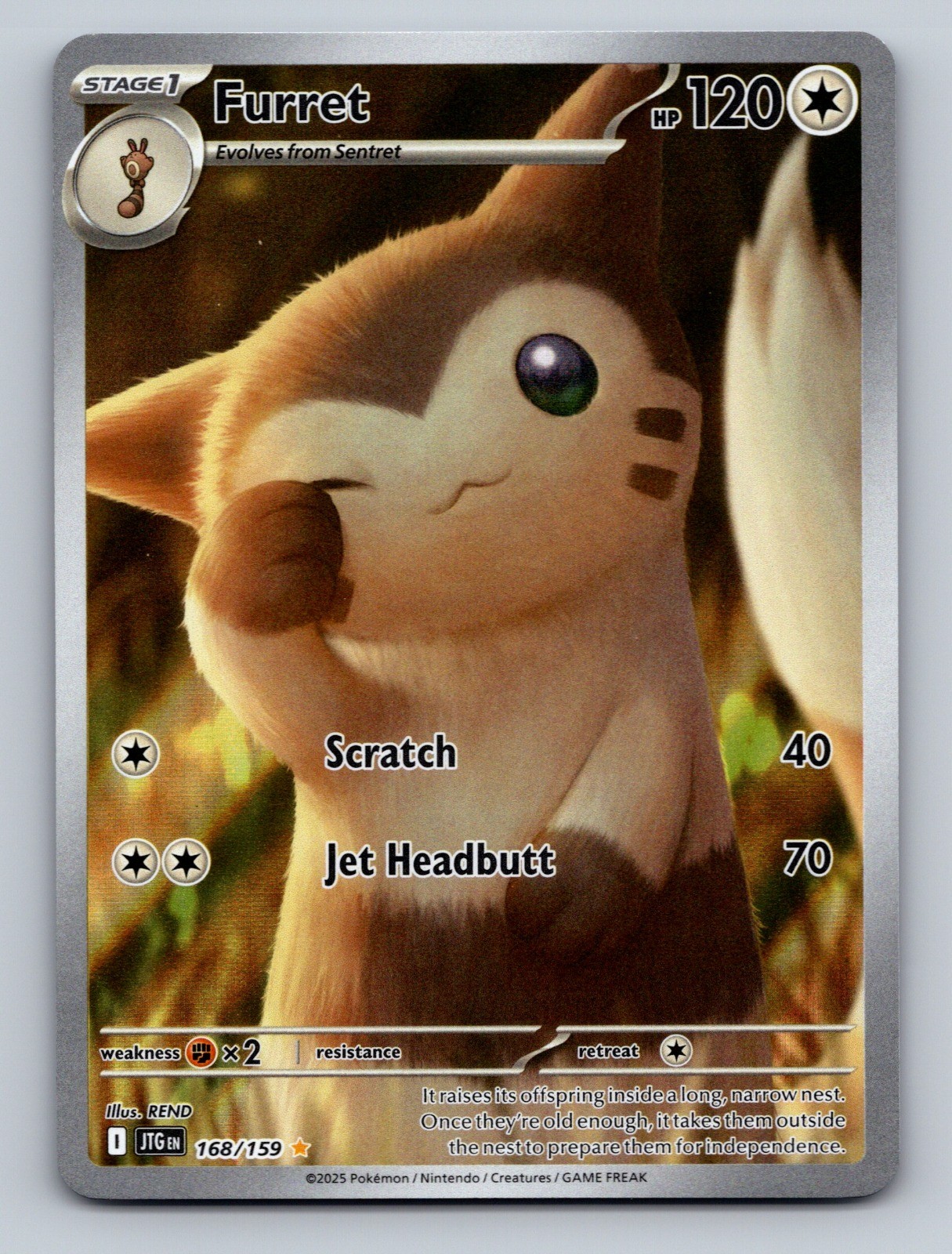 Pokemon TCG Furret Holo Illustration Rare SV09: Journey Together 168/159
