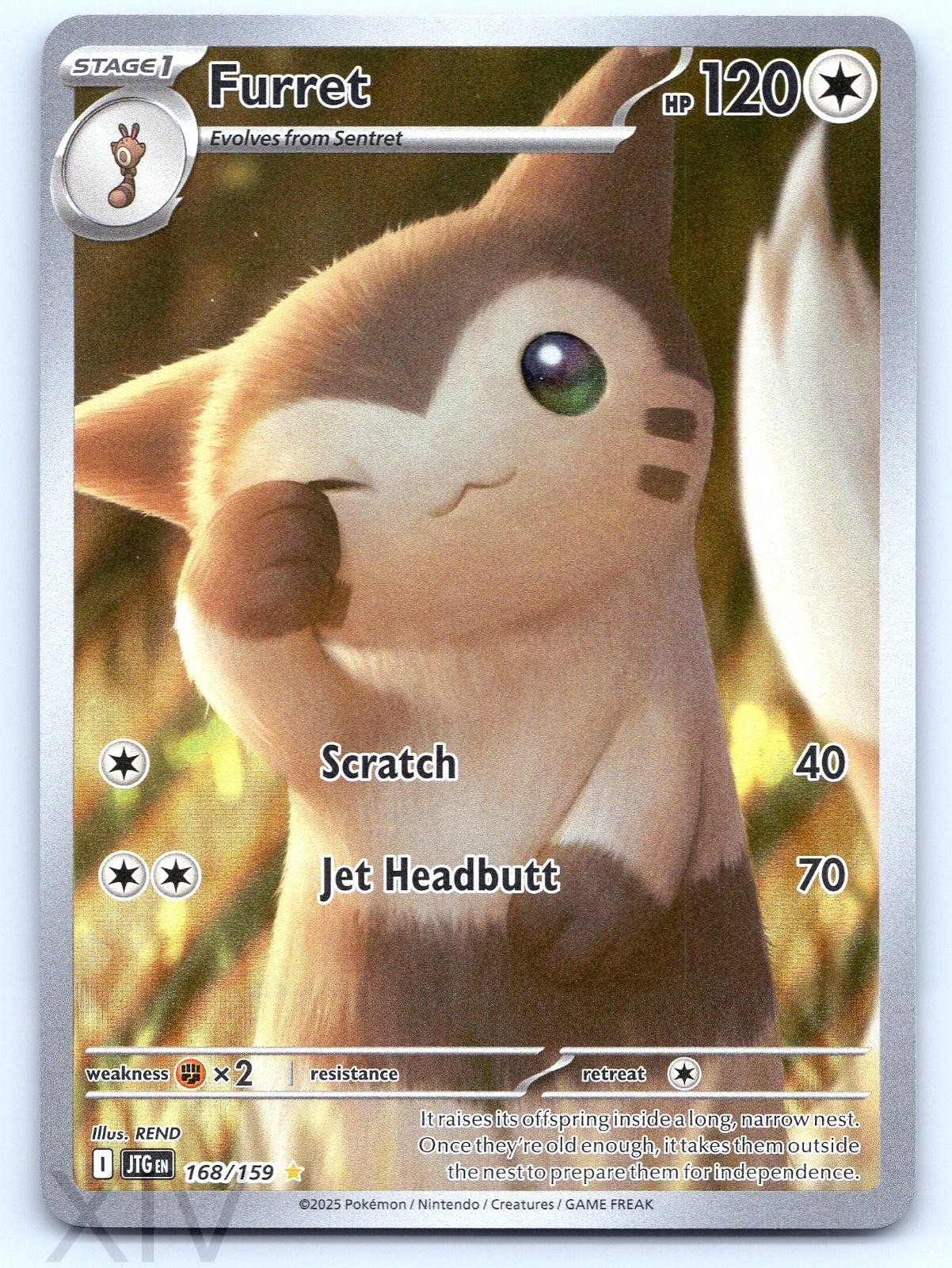 Furret 168/159 Pokemon Journey Together Illustration Rare