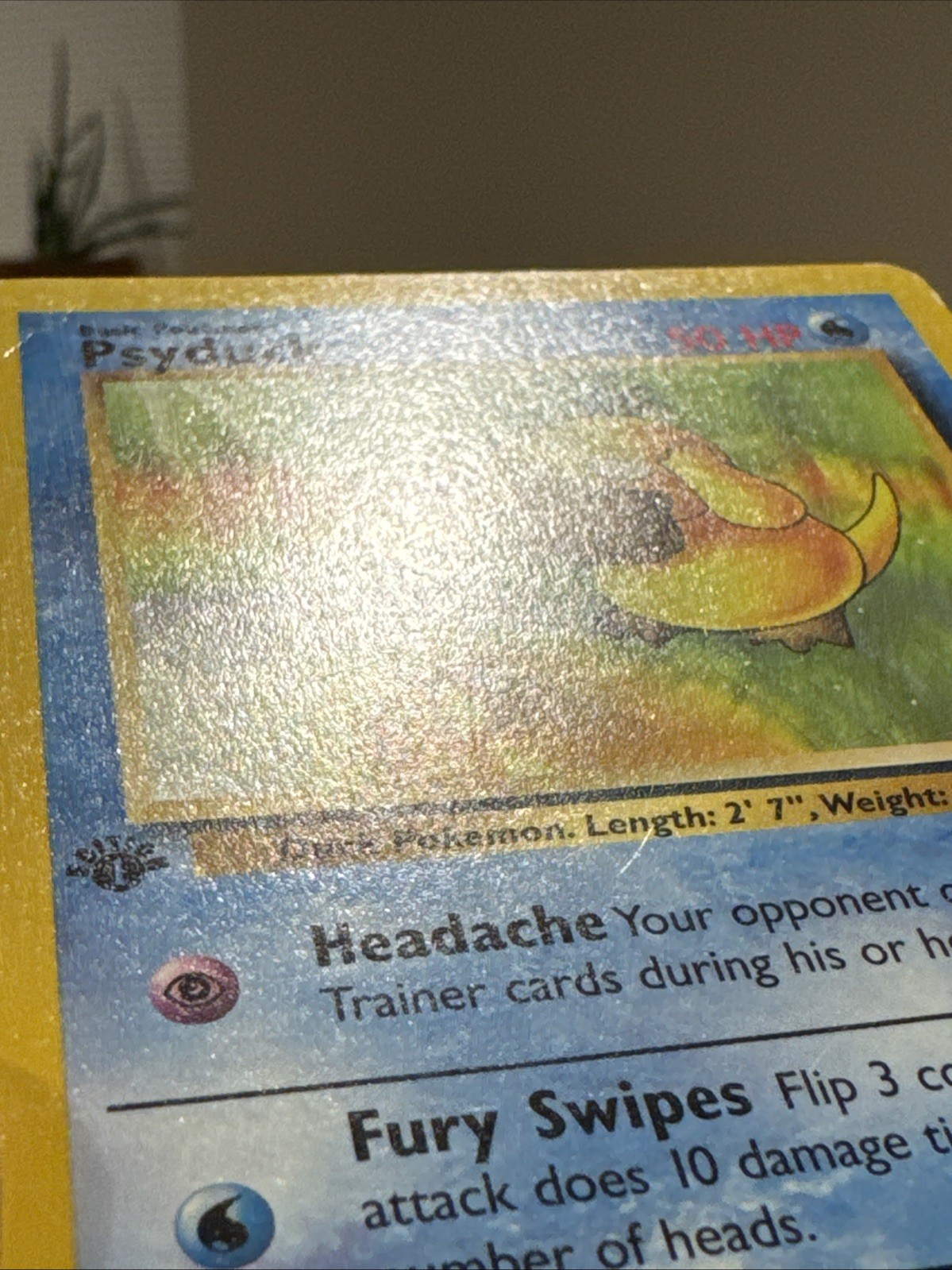 Psyduck 53/62 Fossil Regular
