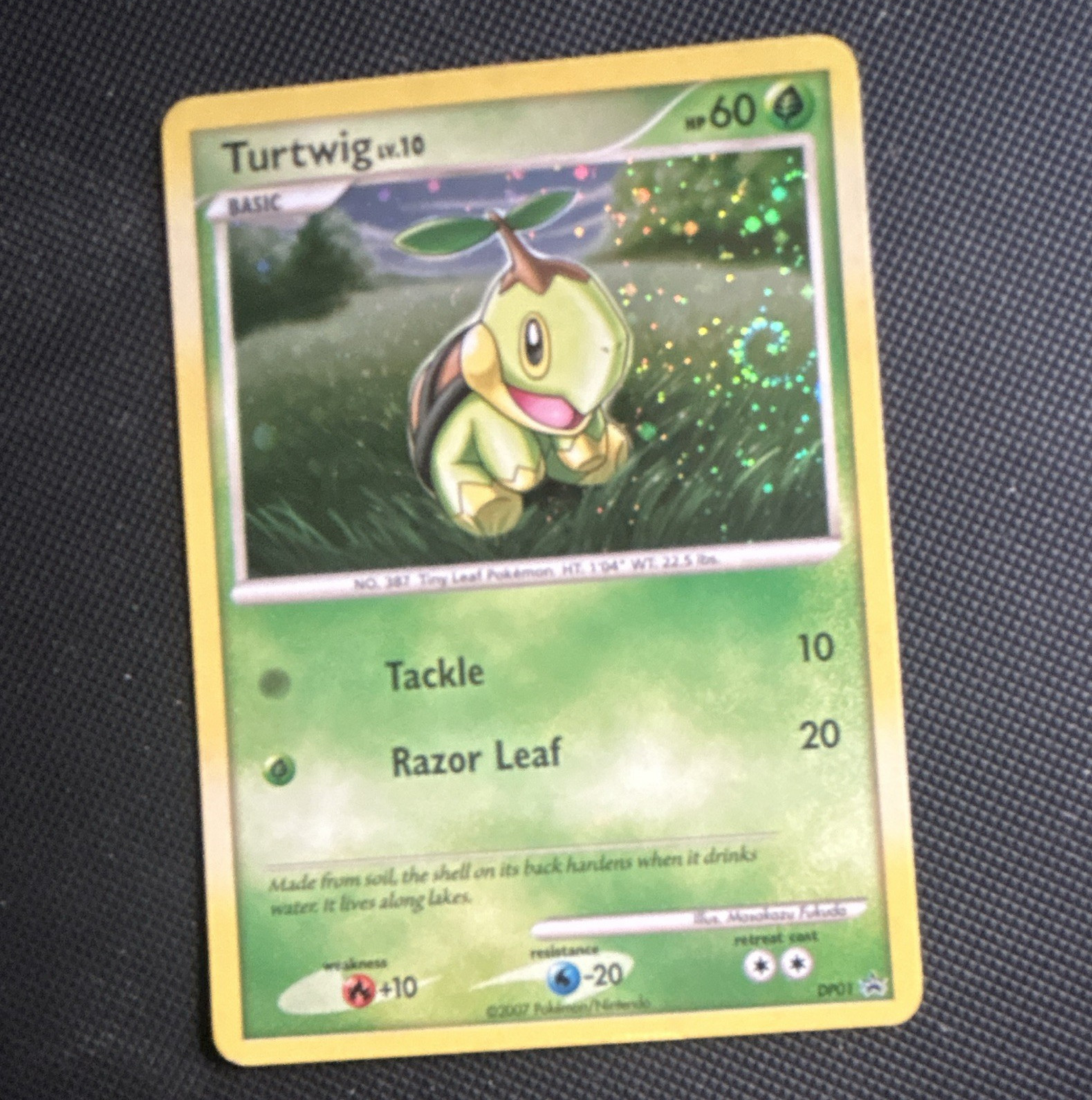 Turtwig Holo Promo DP01 Diamond and Pearl Basic 60 HP Eng 2007 swirl dent