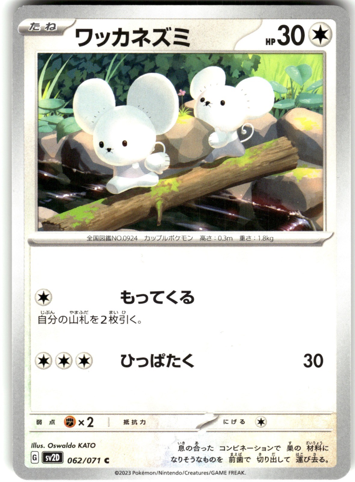 Tandemaus 062/071 SV2D: Clay Burst Common Pokemon Card NM