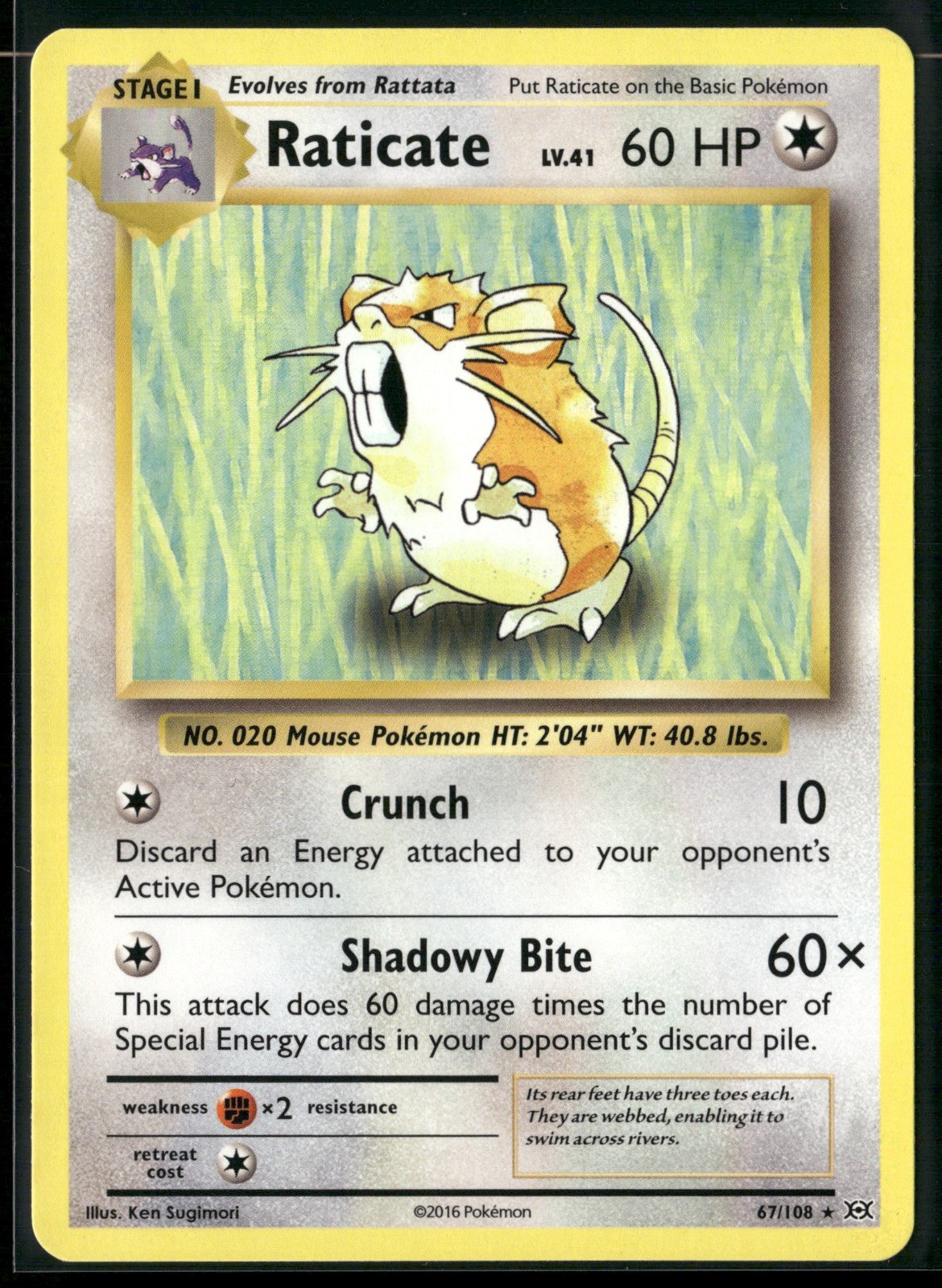 Raticate Rare XY – Evolutions 67/108 NM