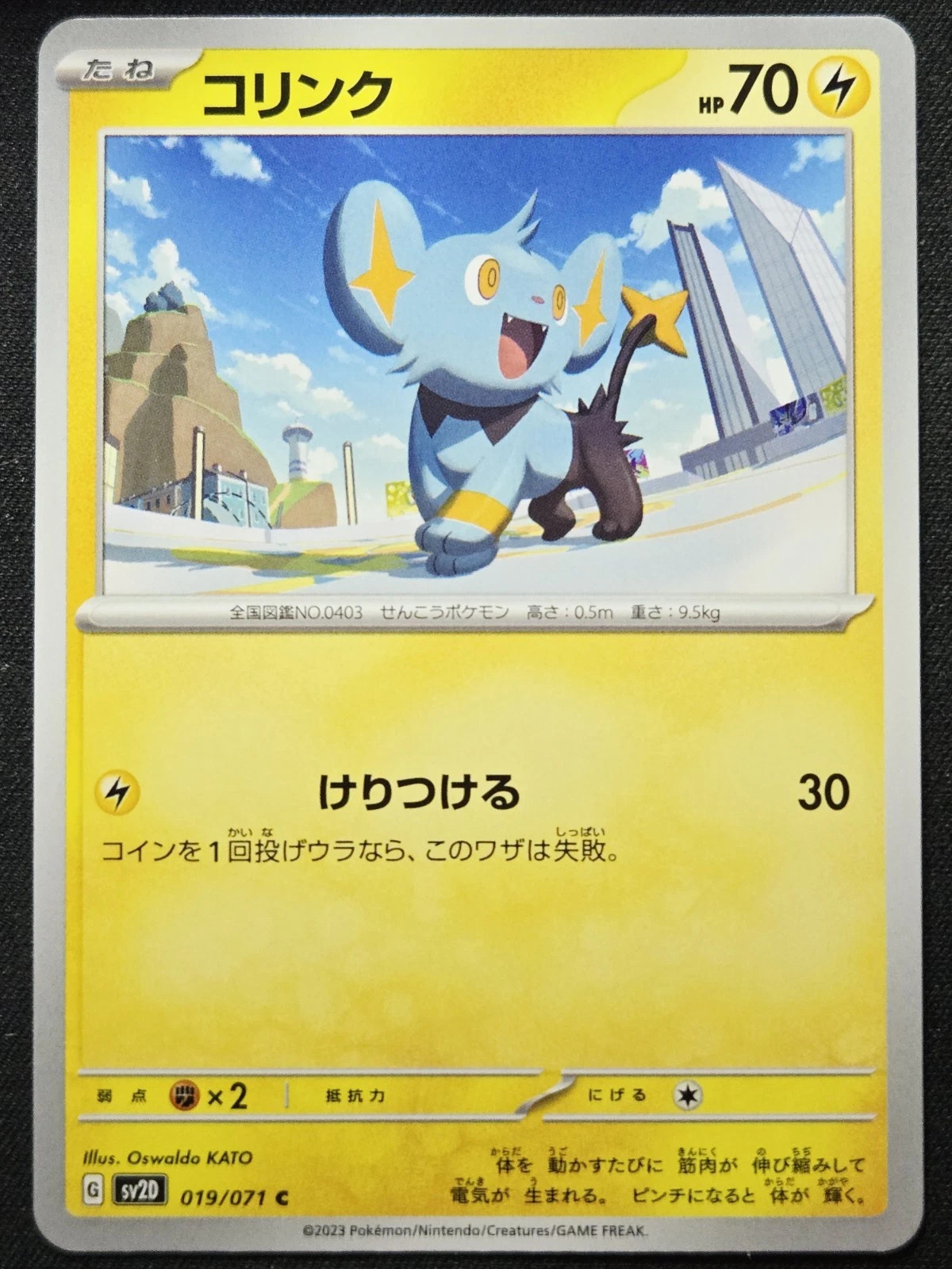 Shinx 059/190 Sv4a Shiny Treasure 2023 Pokémon TCG Japanese