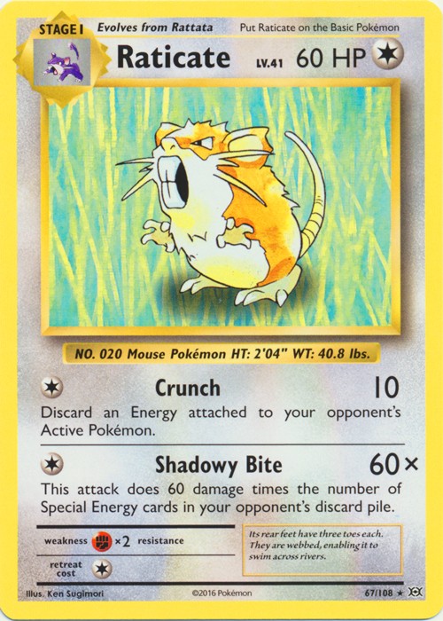 Raticate – 67/108 – Rare – Lightly Played