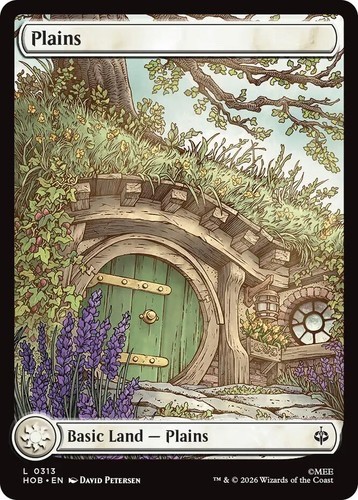 Spring Borderless MTG The Hobbit HOB Plains 0313