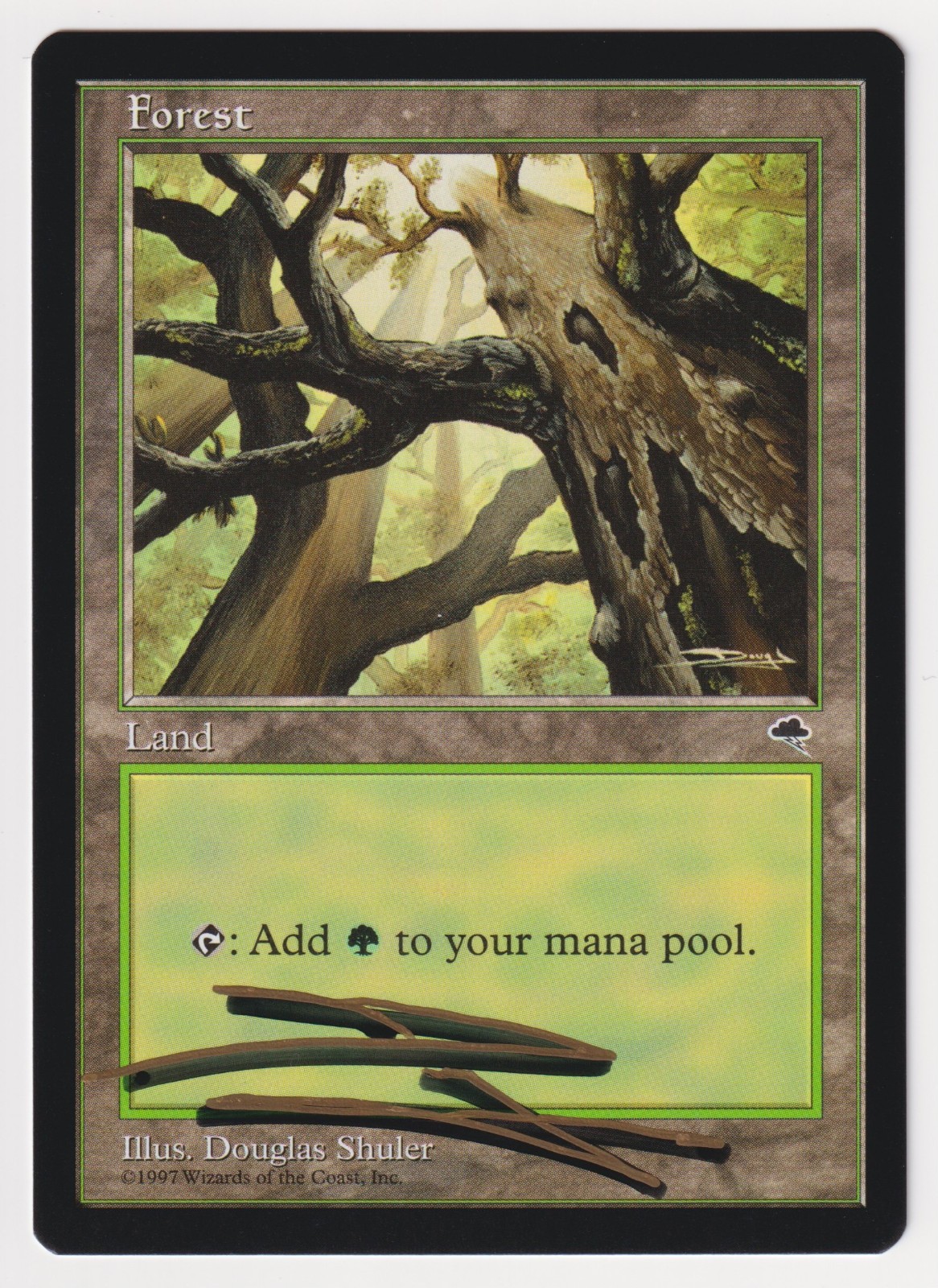 Shadow Signed Forest #347 Skyward Proof NM Tempest Artist Douglas Shuler MTG AP!