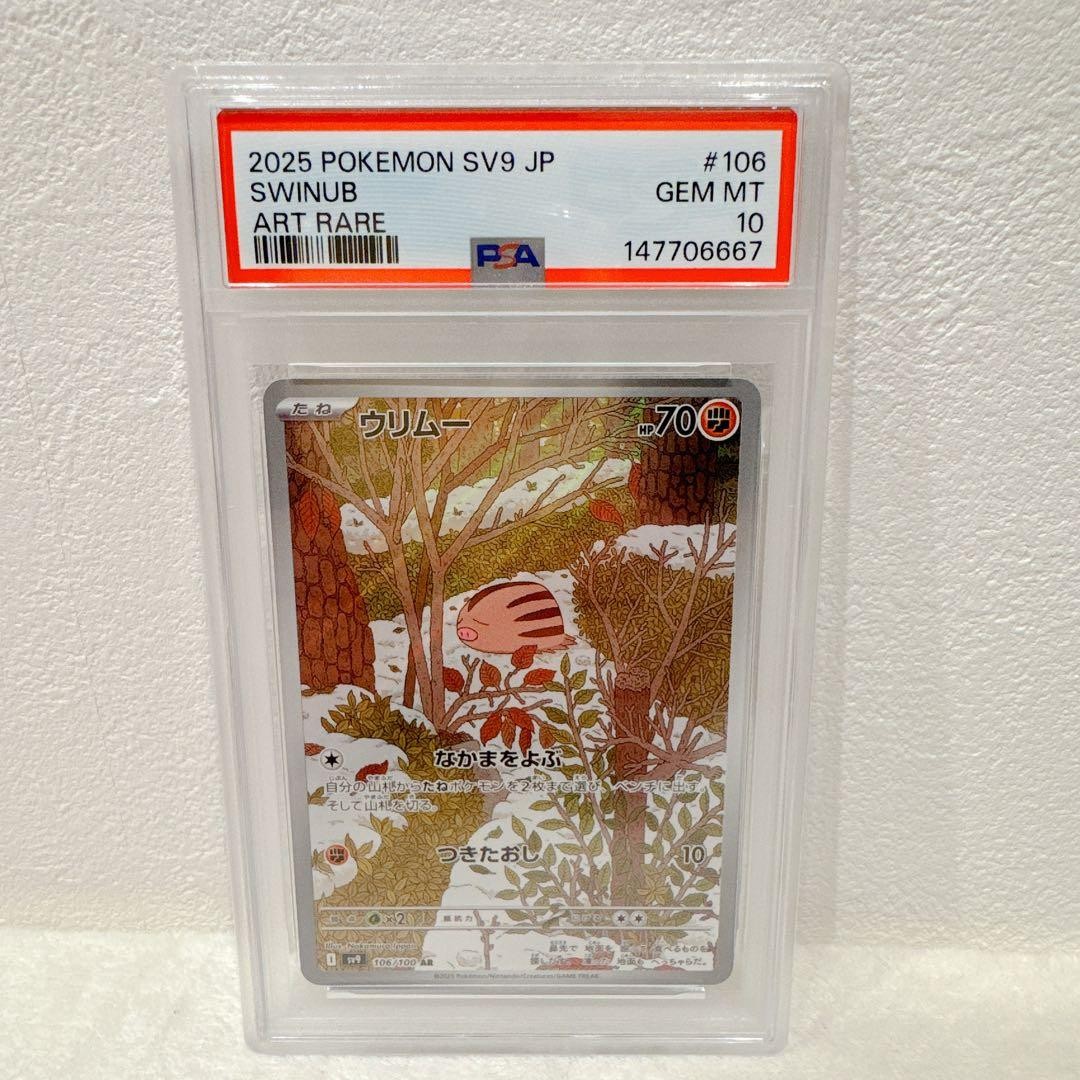 PSA 10 Swinub 106/100 Art Rare Alternative Art Pokemon JP Trading Card