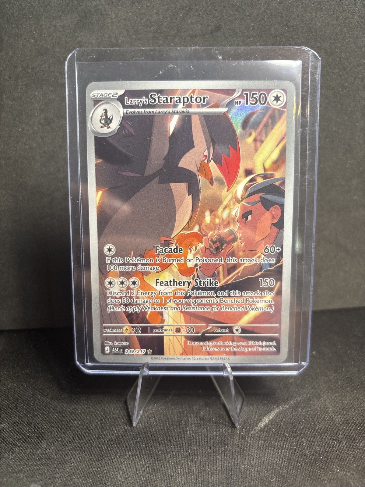 Larry’s Staraptor 249/217 Illustration Rare Ascended Heroes Pokemon Holo NM