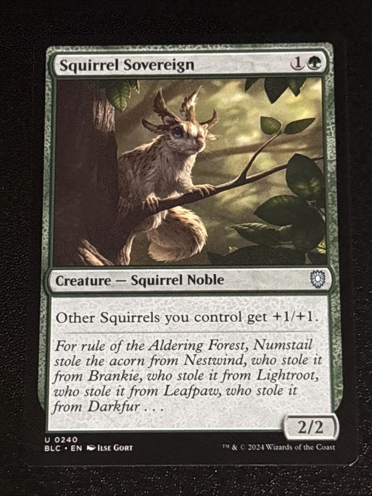 MTG Commander: Bloomburrow Squirrel Sovereign 0240 NM