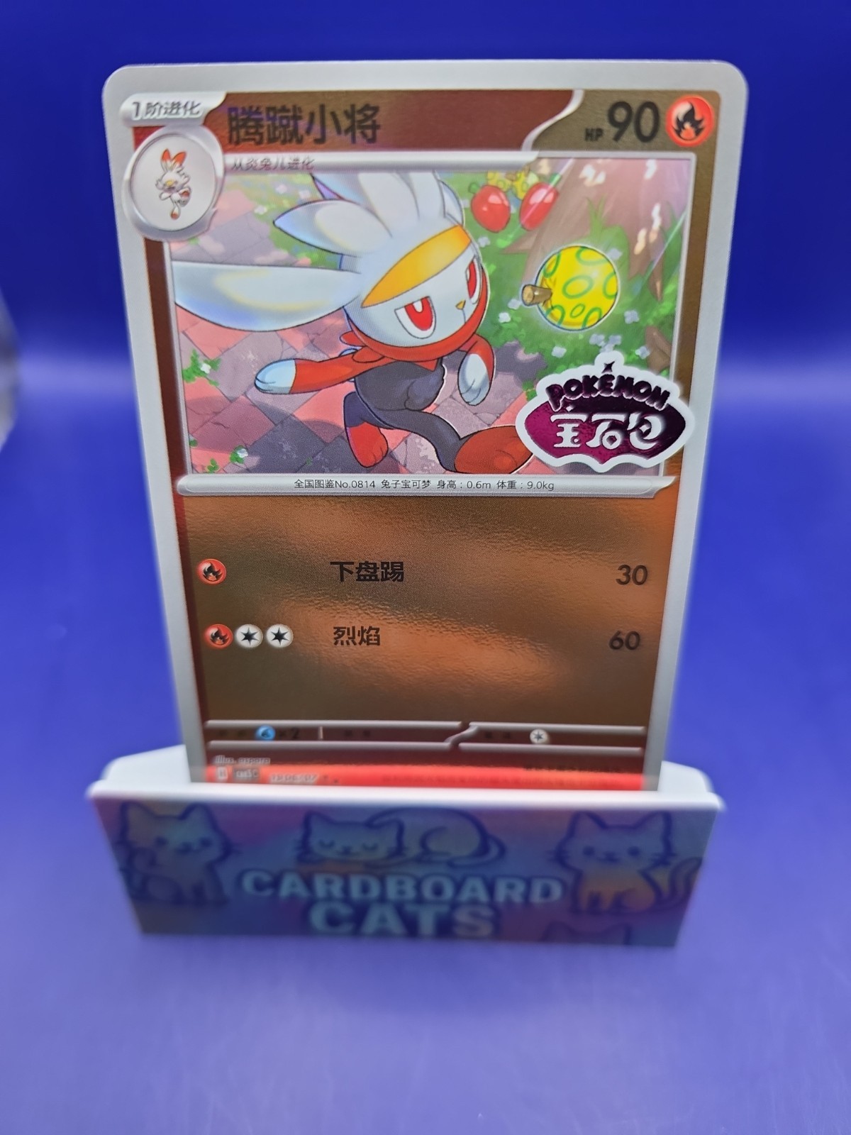 Pokemon TCG CBB5C S-Chinese Gem Pack Vol. 5 – Raboot 1906/07 Stamped Holo