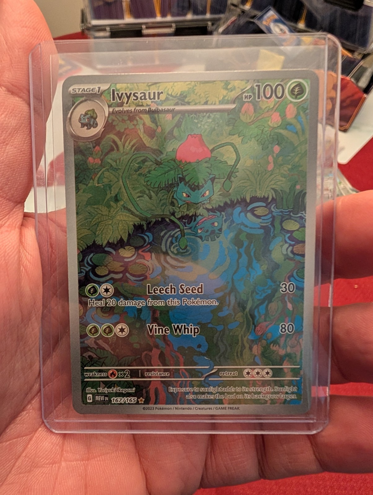 Pokemon Ivysaur 167/165 Illustration Rare 151 Pokemon Holo Near Mint