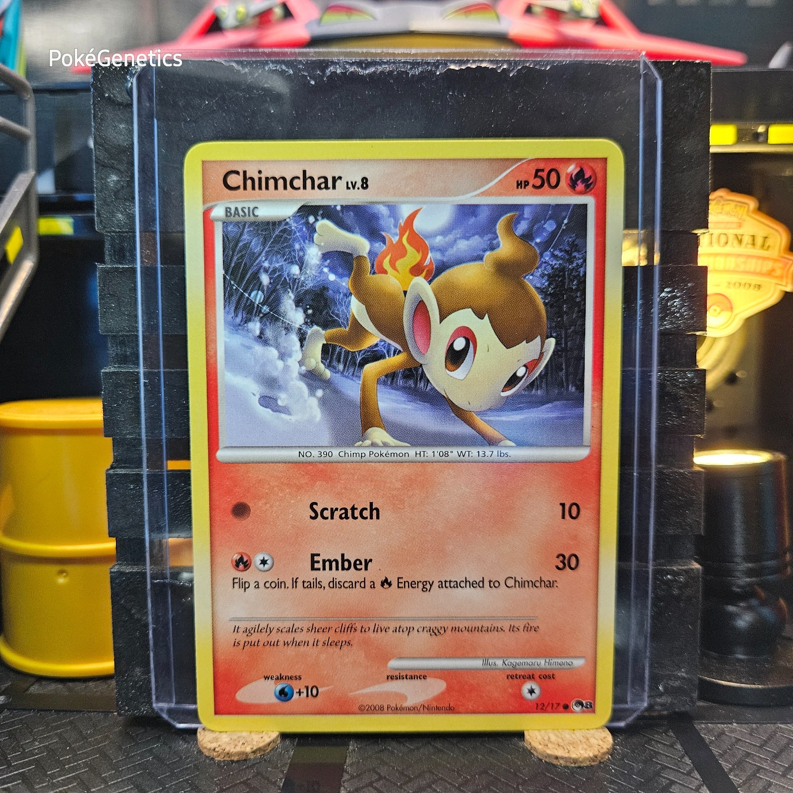 Chimchar POP Series 8 Promo Pokémon TCG 12/17 Common