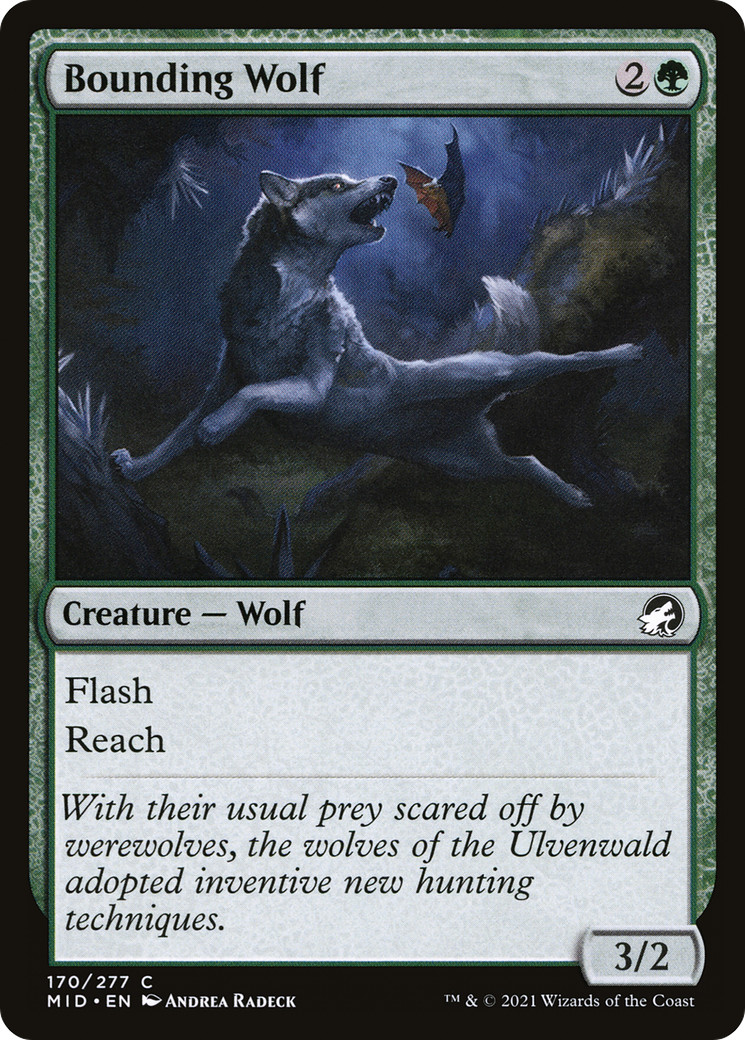 x4 Bounding Wolf MID MTG 170/277 COMMON M/NM 4x