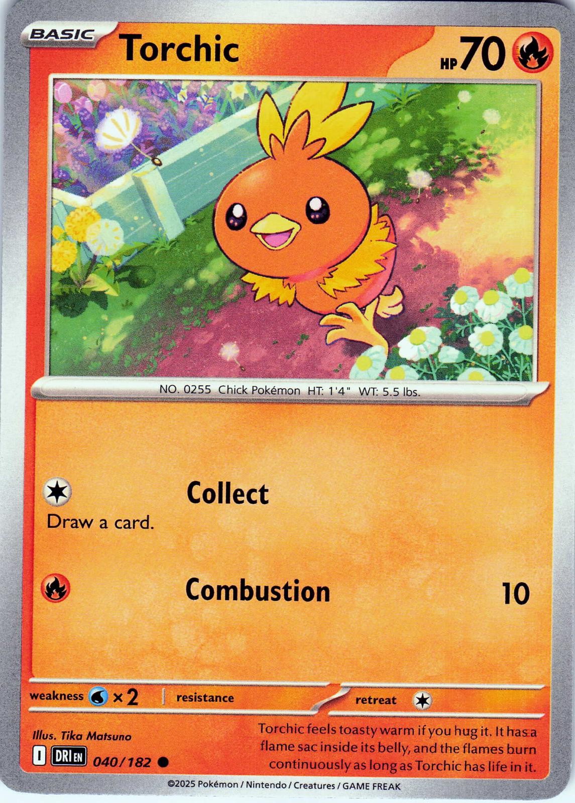 Torchic 040/182 Common Destined Rivals Pokemon NM Tika Matsuno 2025