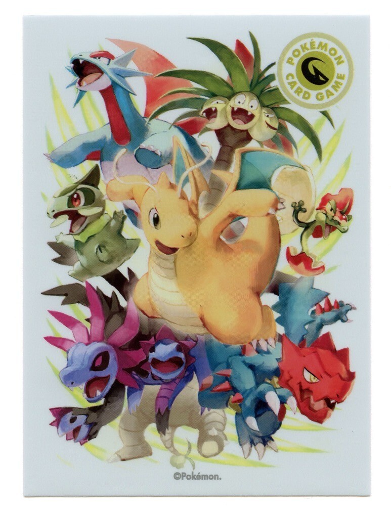 TYPE FIGHTERS Dragon Type Individual Card Sleeve Pokemon Center Japan Original