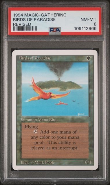PSA 8 (MTG) – Birds of Paradise Revised Edition – PSA 8