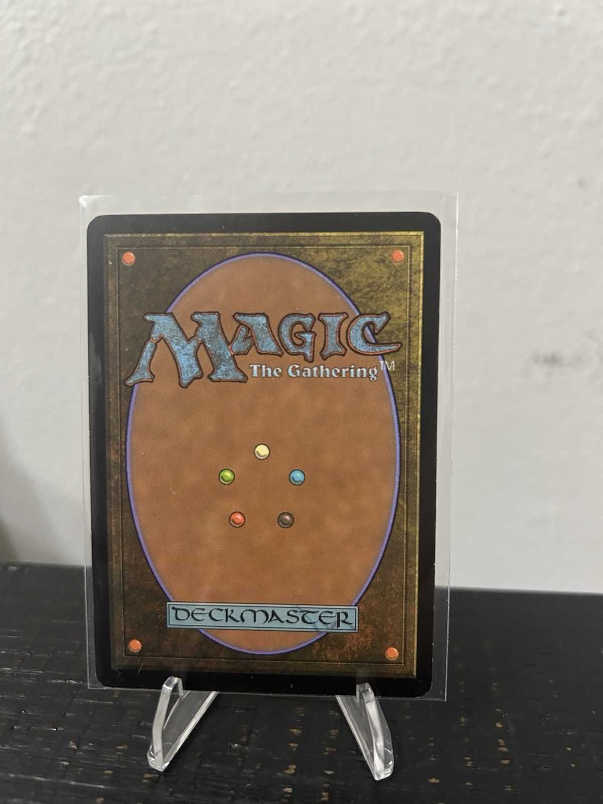 Magic: The Gathering Forest Basic Land #246/249 John Avon EN 2009
