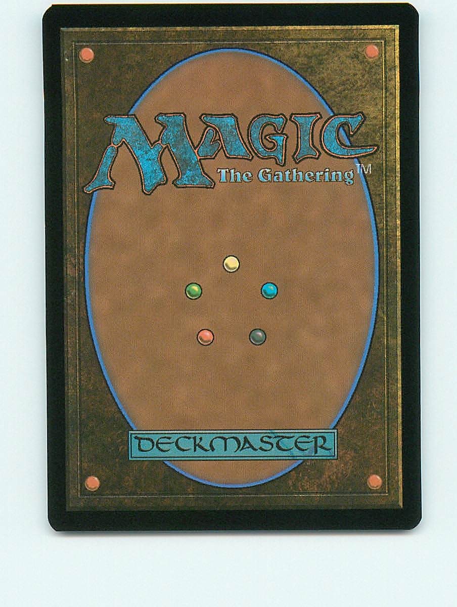 Lluwen, Exchange Student – U199 – MTG – Secrets of Strixhaven (SOS)