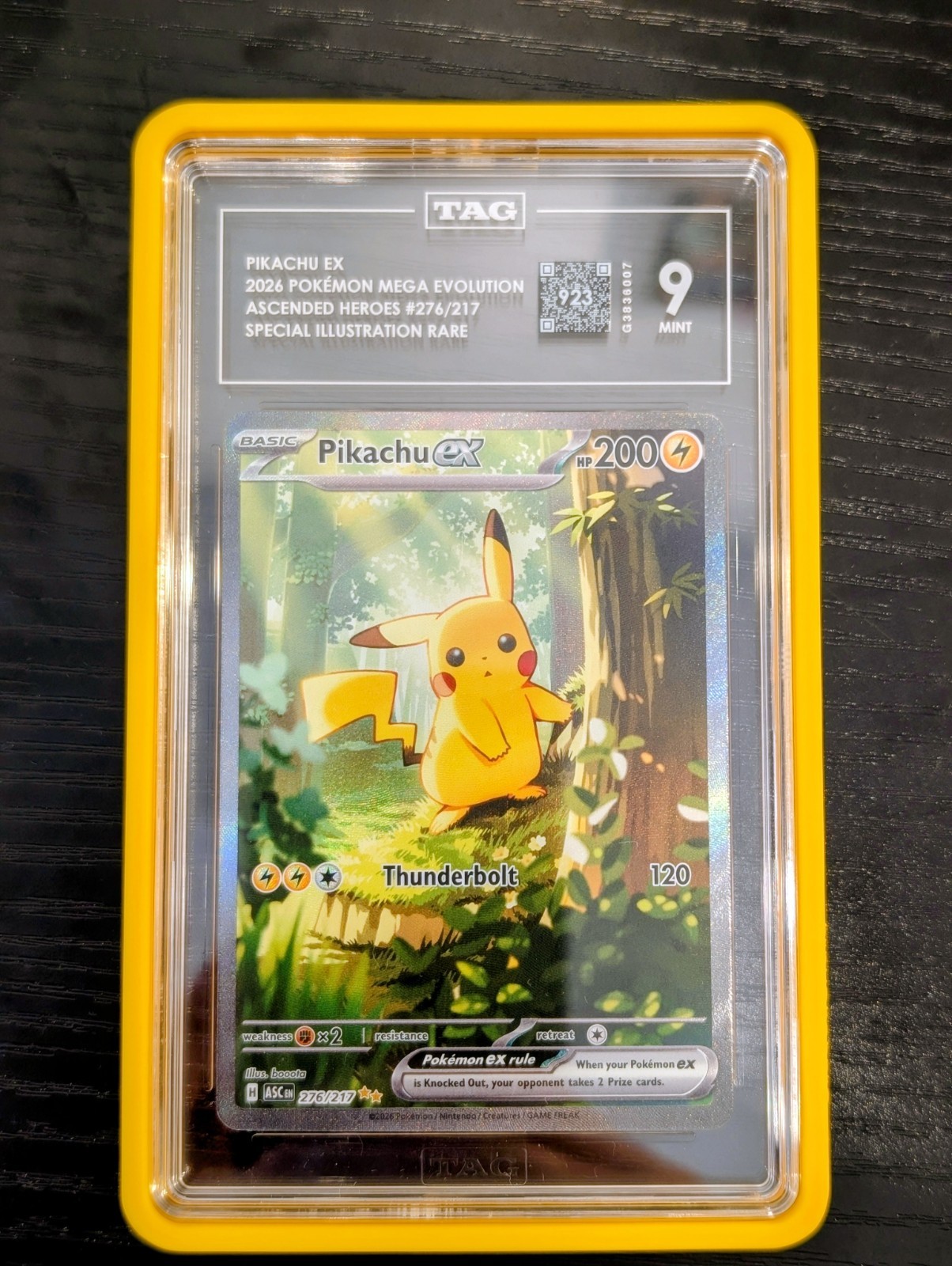2026 Pokemon Ascended Heroes EX SIR 276/217 TAG 9