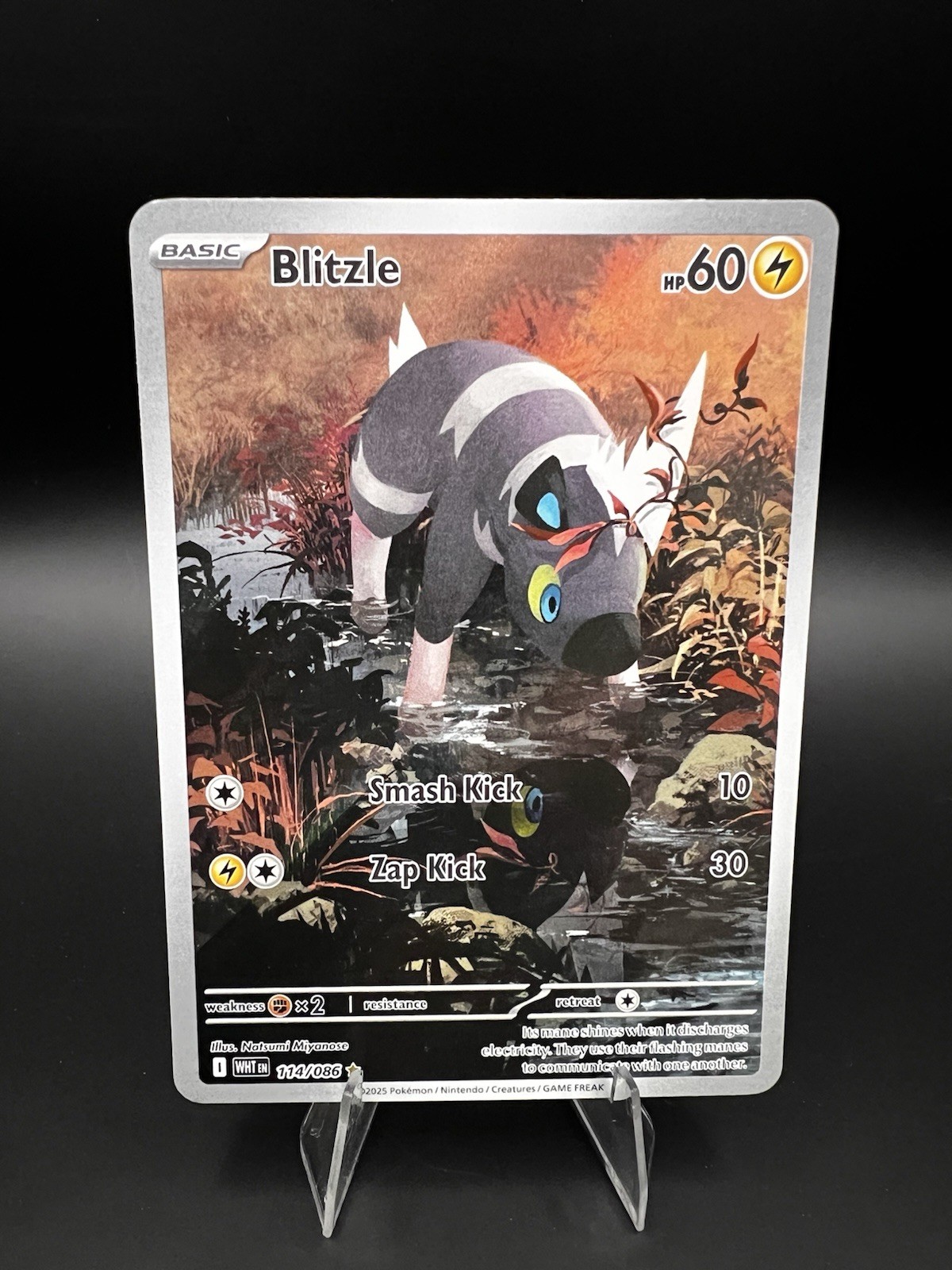 Blitzle 114/086 Sv: White Flare Holo