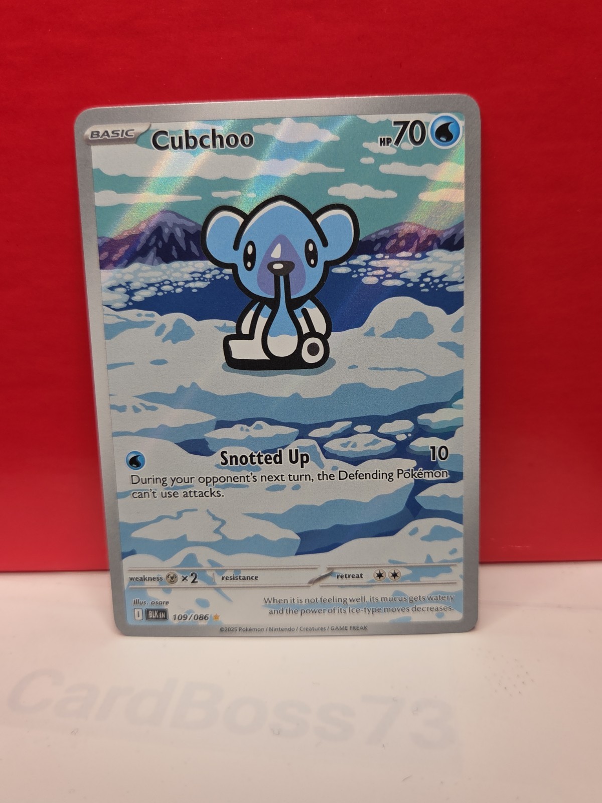 Cubchoo 109/086 Sv: Black Bolt Holo