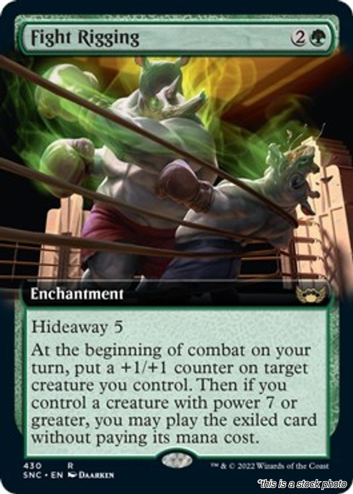 Fight Rigging (Extended Art) [SNC – 430] LP