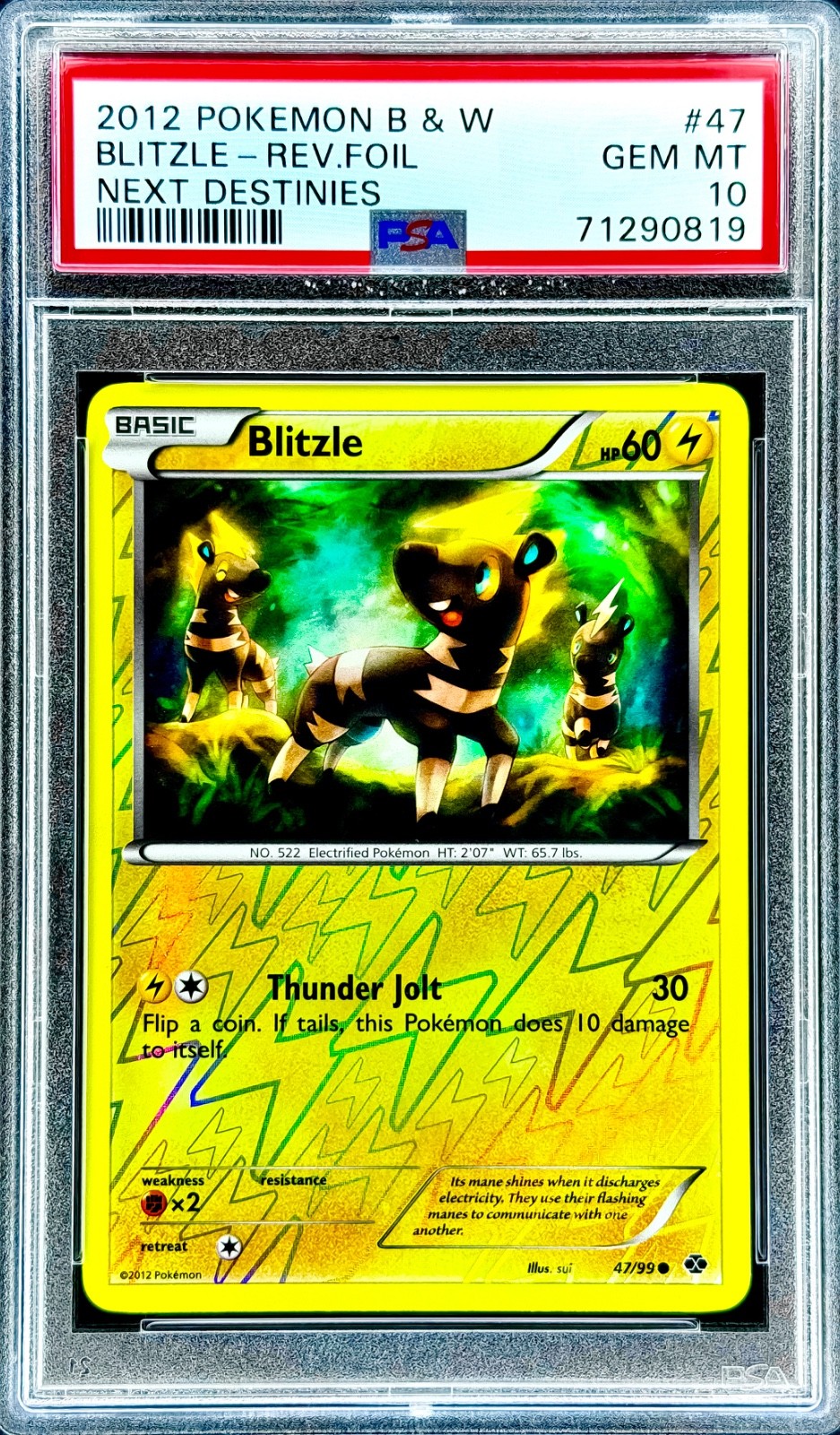 Blitzle REVERSE FOIL HOLO NEXT DESTINIES B&W POKEMON GEM PSA 10