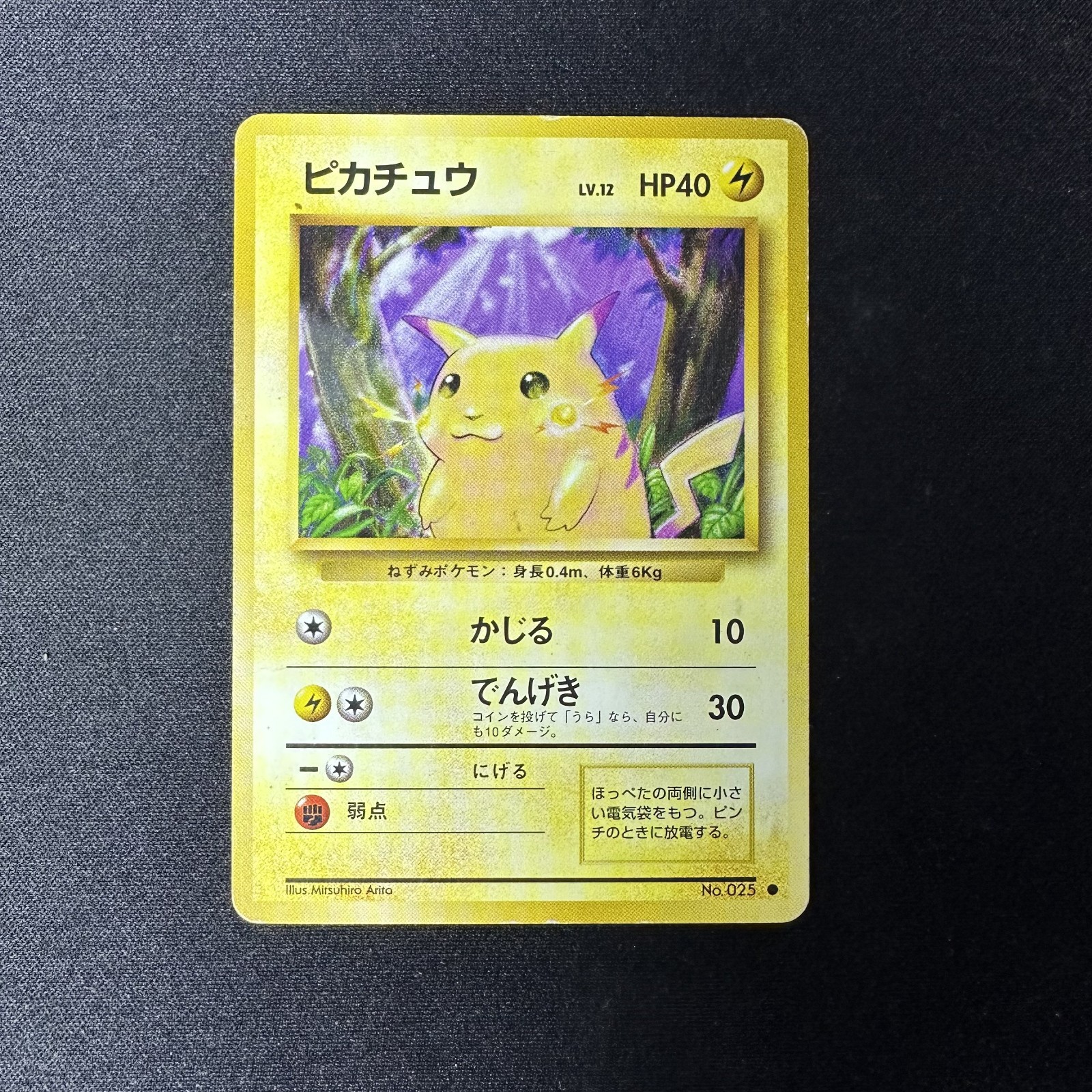 Pikachu 25 (JP) Jungle Set