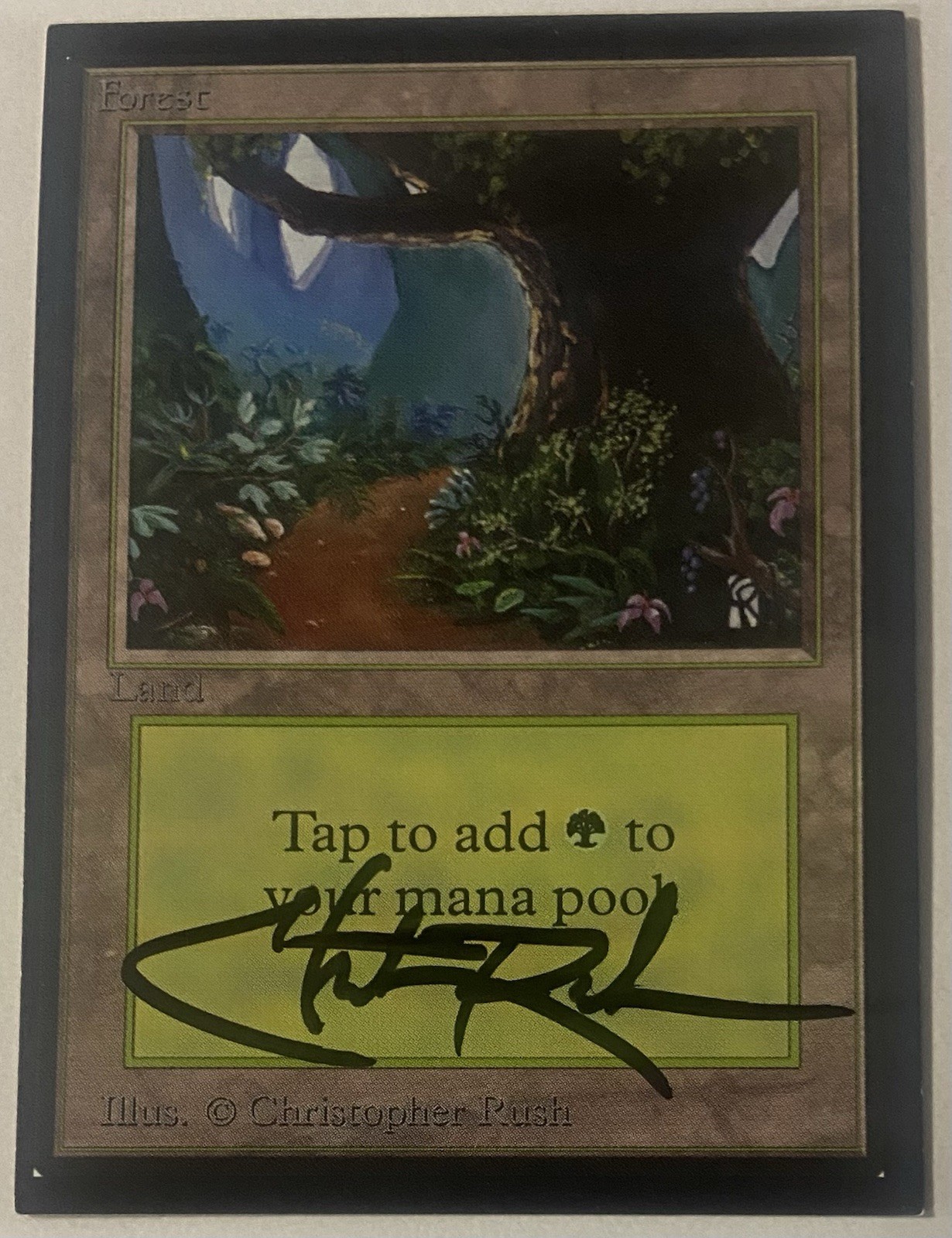 Magic The Gathering MTG FOREST Collectors Edition Card Signed Christopher Rush!